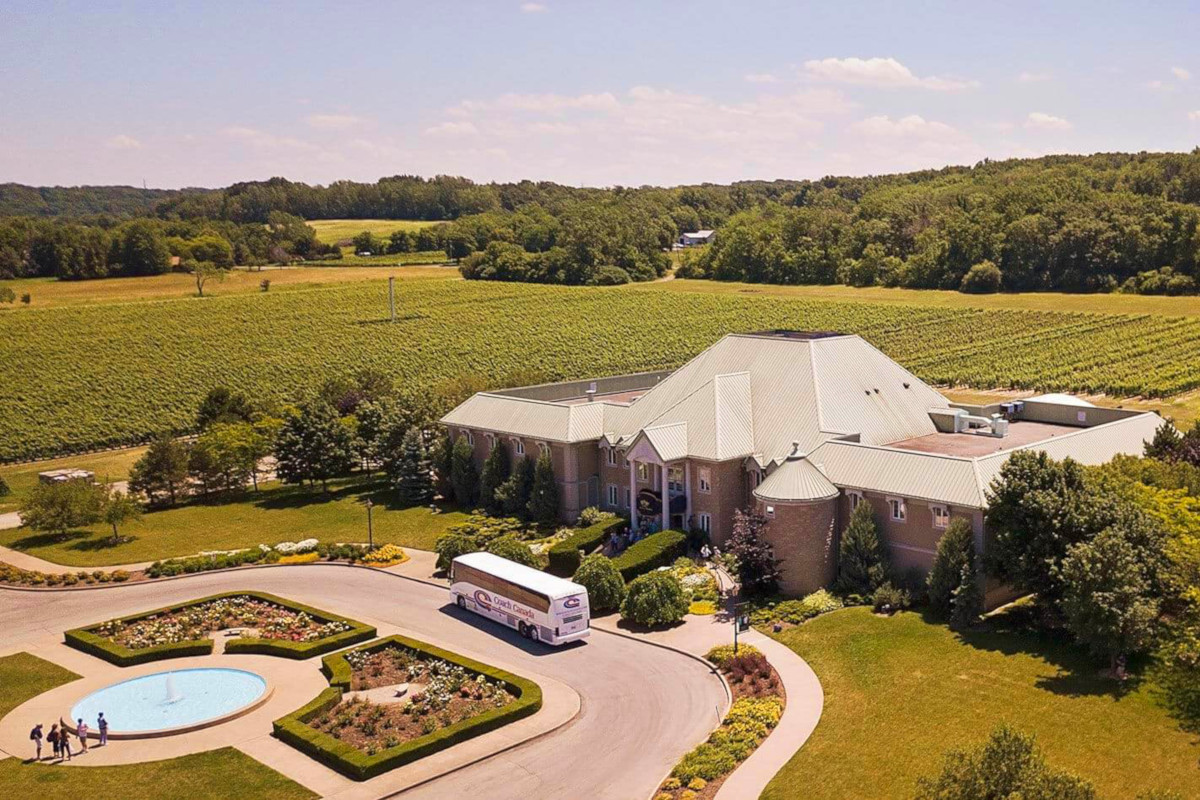 A vineyard in the Niagara region