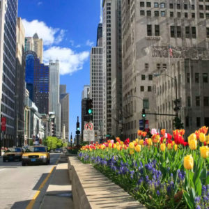 Chicago's Magnificent Mile